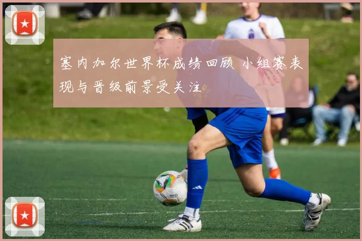 塞内加尔世界杯成绩回顾 小组赛表现与晋级前景受关注