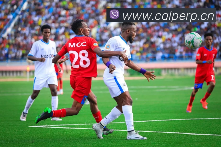 App Interface Preview